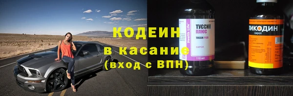 амф Бородино