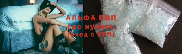 амф Бородино