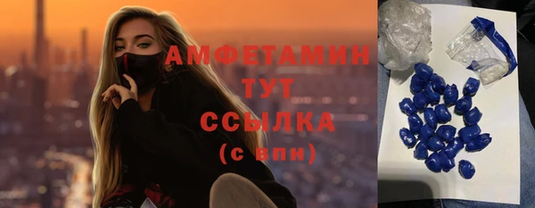 амф Бородино