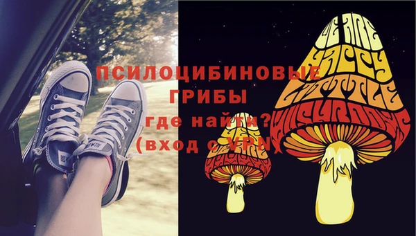 амф Бородино