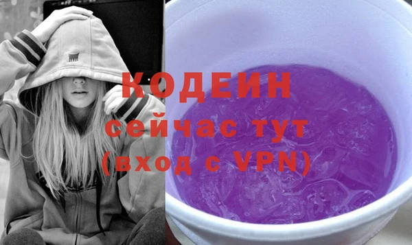 амф Бородино