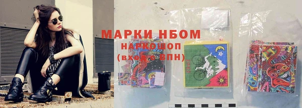 амф Бородино